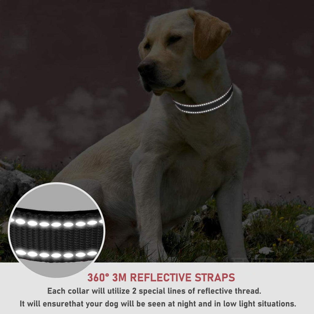 Shine Bright & Stay Safe! 🌟 Adjustable Reflective Dog Collar for All Pups - Perfect for Small to Large Dogs! 🐾 #DogSafety #StylishPaws