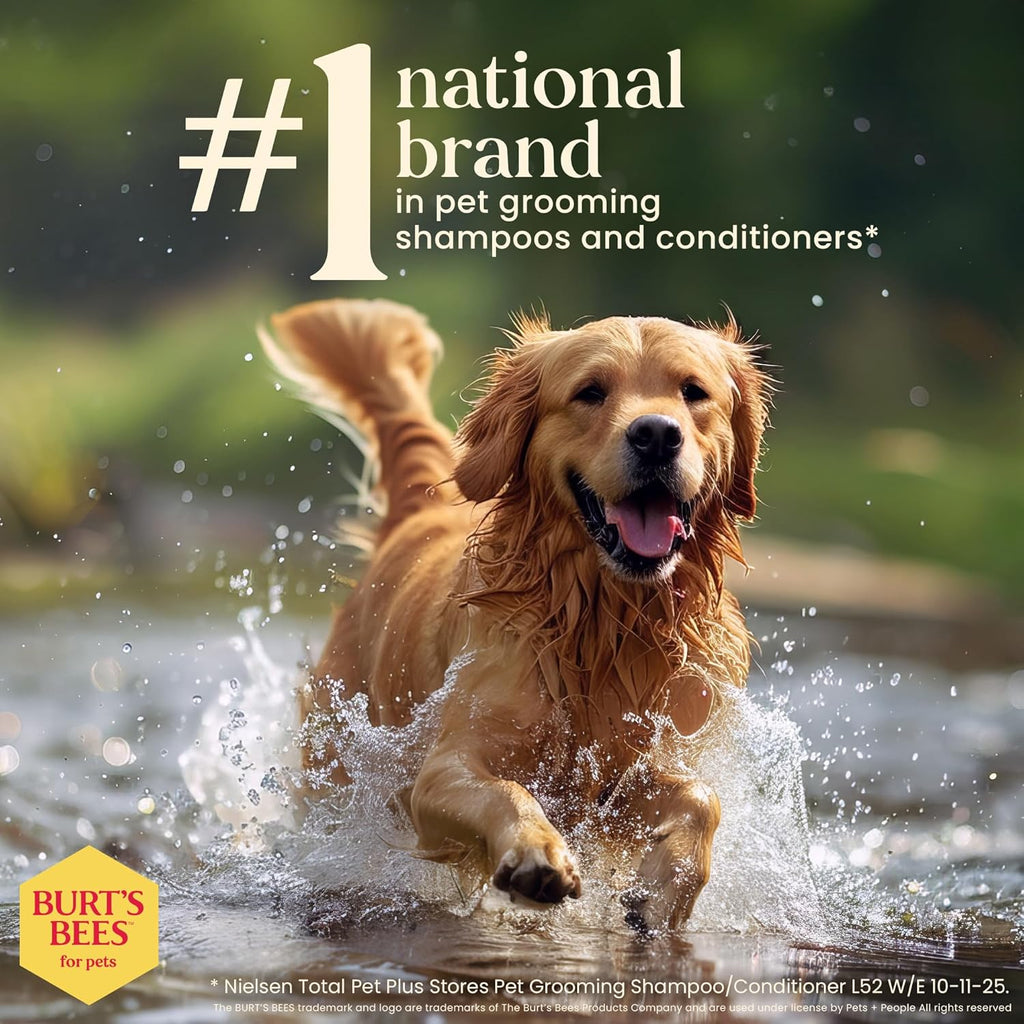 Say goodbye to bath time struggles! 🐶✨ Try Burt's Bees Waterless Dog Shampoo with Apple & Honey – 99.1% natural goodness for a clean, fresh pup in a spray! 🌿🍏 #DogGrooming #Burt'sBees #PetCare