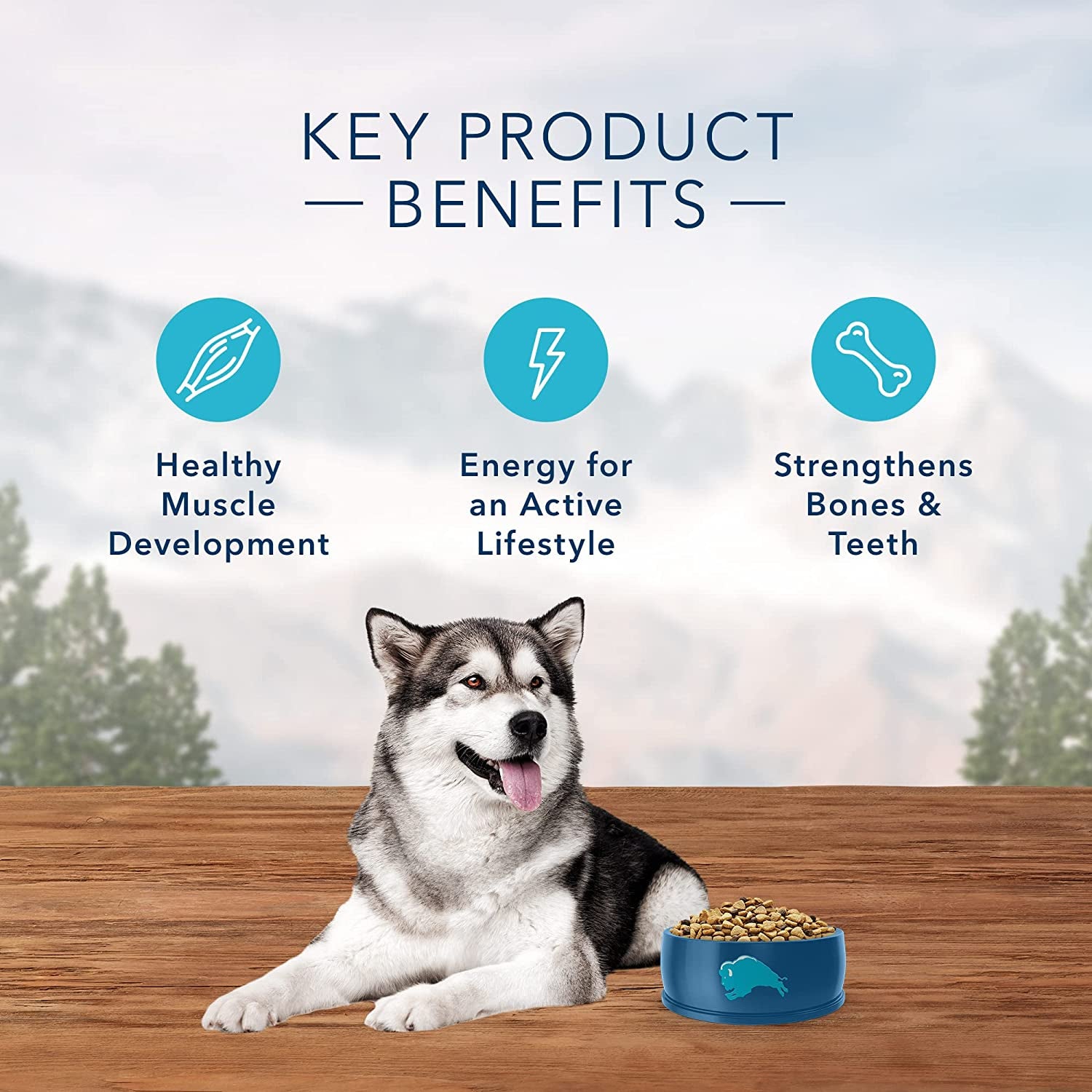 Unleash your dog's wild side with  Wilderness High Protein Dry Dog Food with Wholesome Grains! 🐶🍗 24-Lbs of pure deliciousness! #BlueBuffalo #DogFood #HealthyPup
