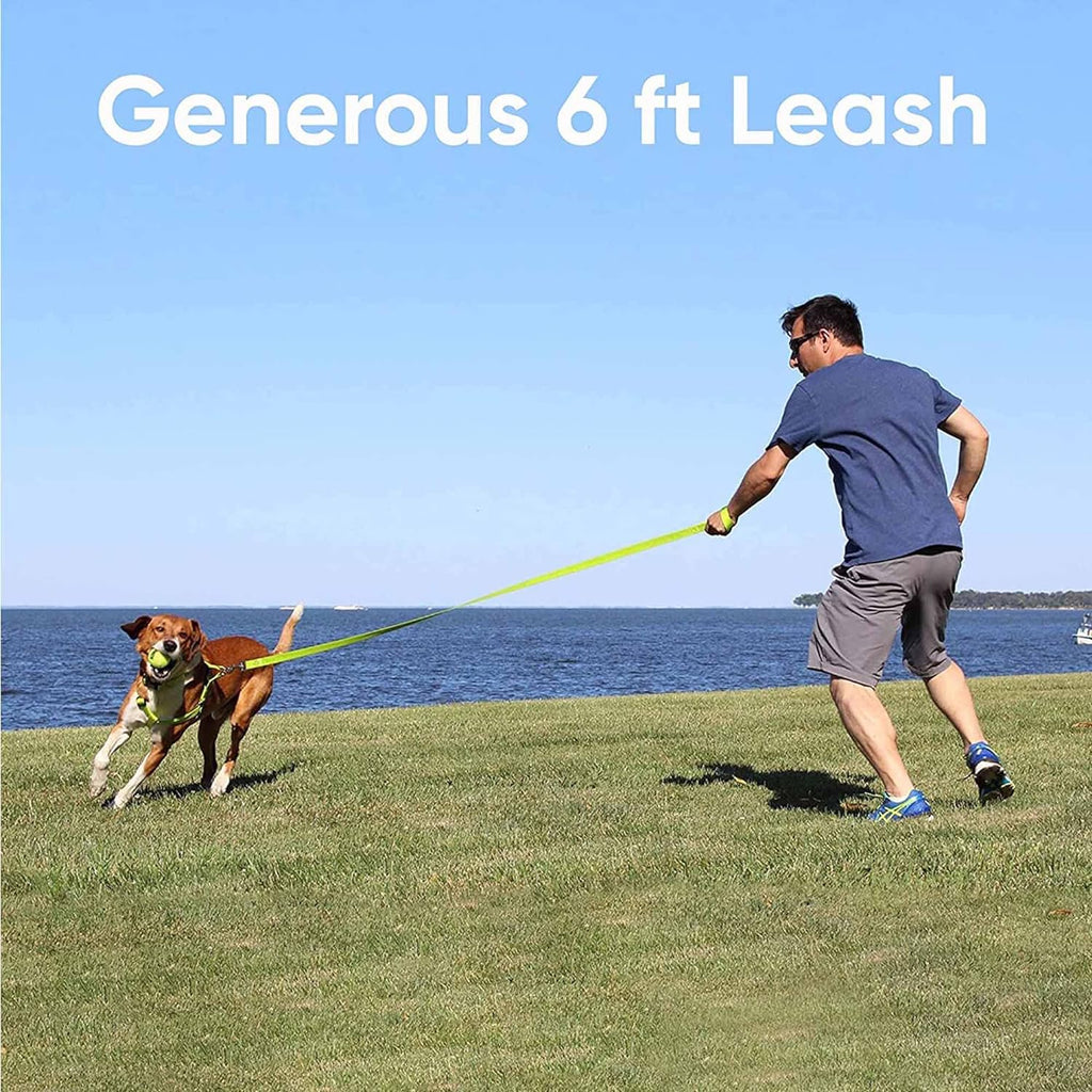 Get Your Pup Stylish & Safe with a Custom 6 Ft Green Dog Leash! 🐾💚 Perfect for Medium & Large Breeds! 🐕✨
