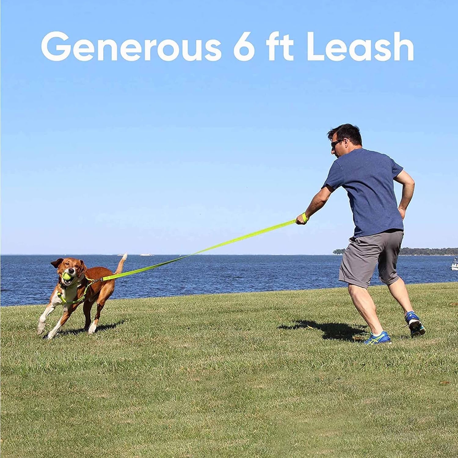 Get Your Pup Stylish & Safe with a Custom 6 Ft Green Dog Leash! 🐾💚 Perfect for Medium & Large Breeds! 🐕✨