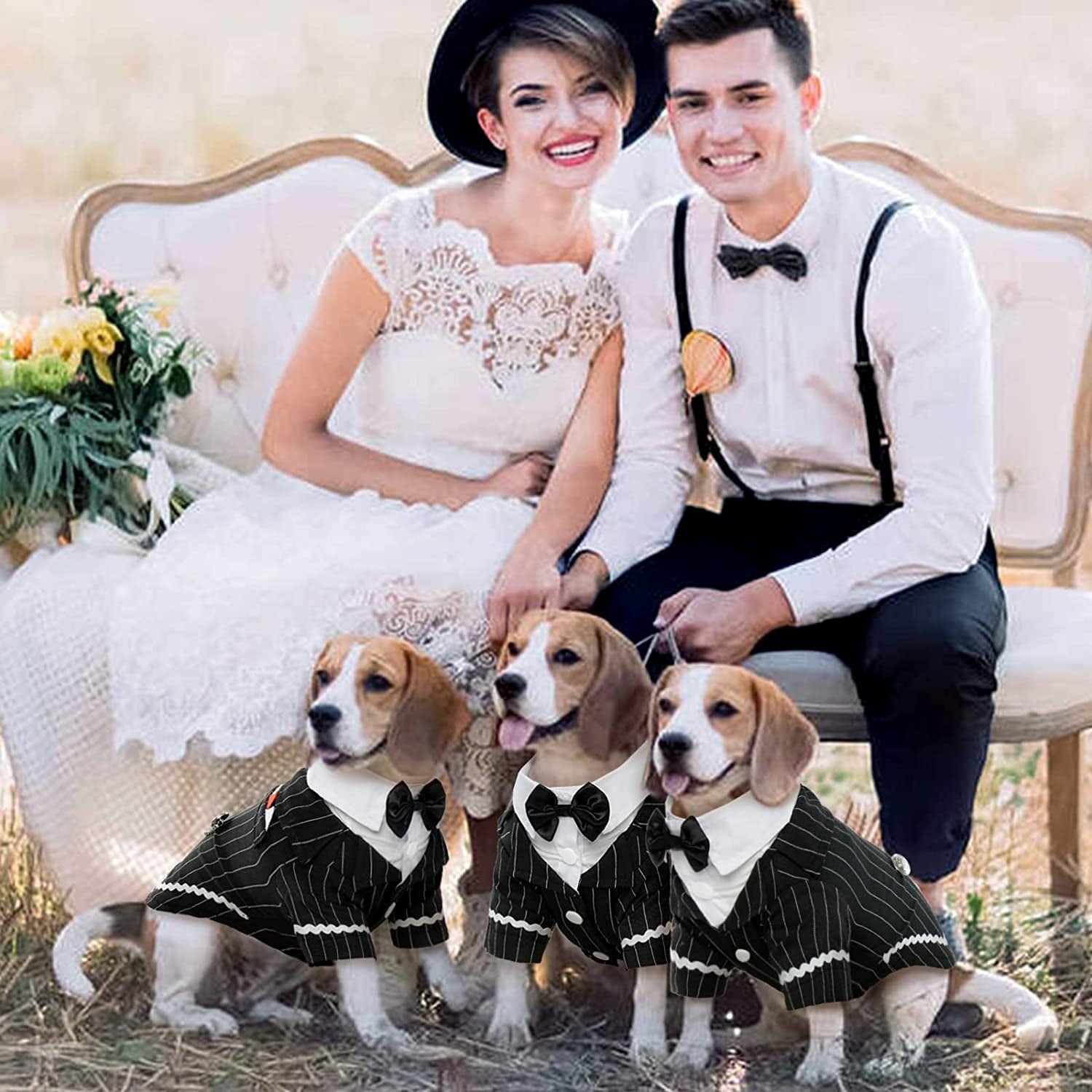 Dress your pup to impress with the  Dog Black Suit Costume! 🎩 Perfect for Halloween, weddings, or any formal occasion. Ideal for small to large dogs and even your cat! 🐾✨