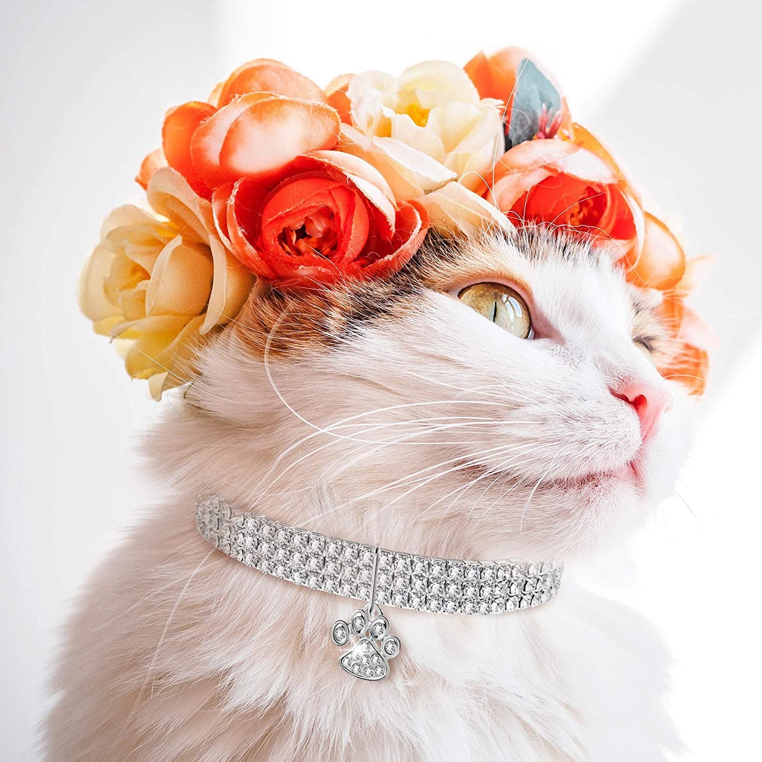 Sparkle in Style! ✨💖 3-Piece Bling Rhinestone Pet Collars with Adjustable Crystal Pendants for Your Adorable Dogs & Cats! 🐾💕 Perfect for Small Pets!