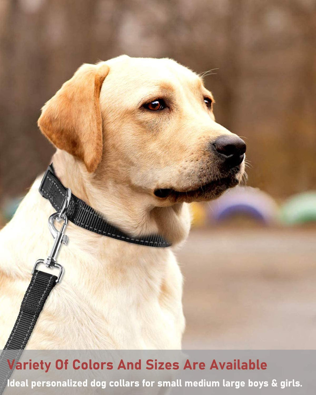 Shine Bright & Stay Safe! 🌟 Adjustable Reflective Dog Collar for All Pups - Perfect for Small to Large Dogs! 🐾 #DogSafety #StylishPaws