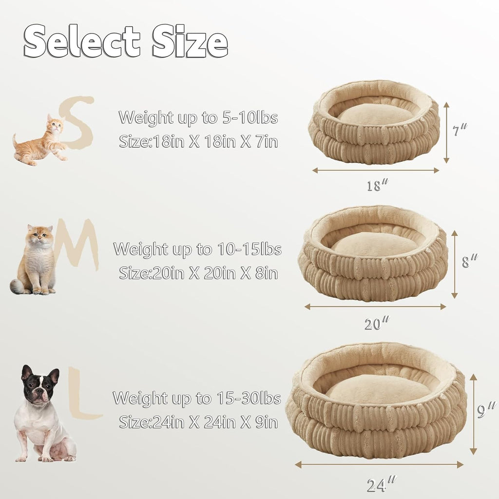 Cozy & Comfy Cat and Puppy Beds - Perfect for Indoor Pets! 🐾✨