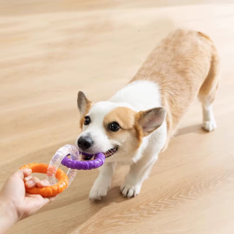 Dog Chew Toy TPR Teeth Cleaning Pet Toys for Small Medium Large Dogs Interactive Bite Resistant 3 Ring Tug Dog Toy Pet Supplies