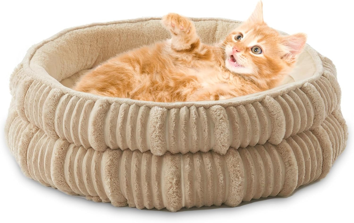 Cozy & Comfy Cat and Puppy Beds - Perfect for Indoor Pets! 🐾✨