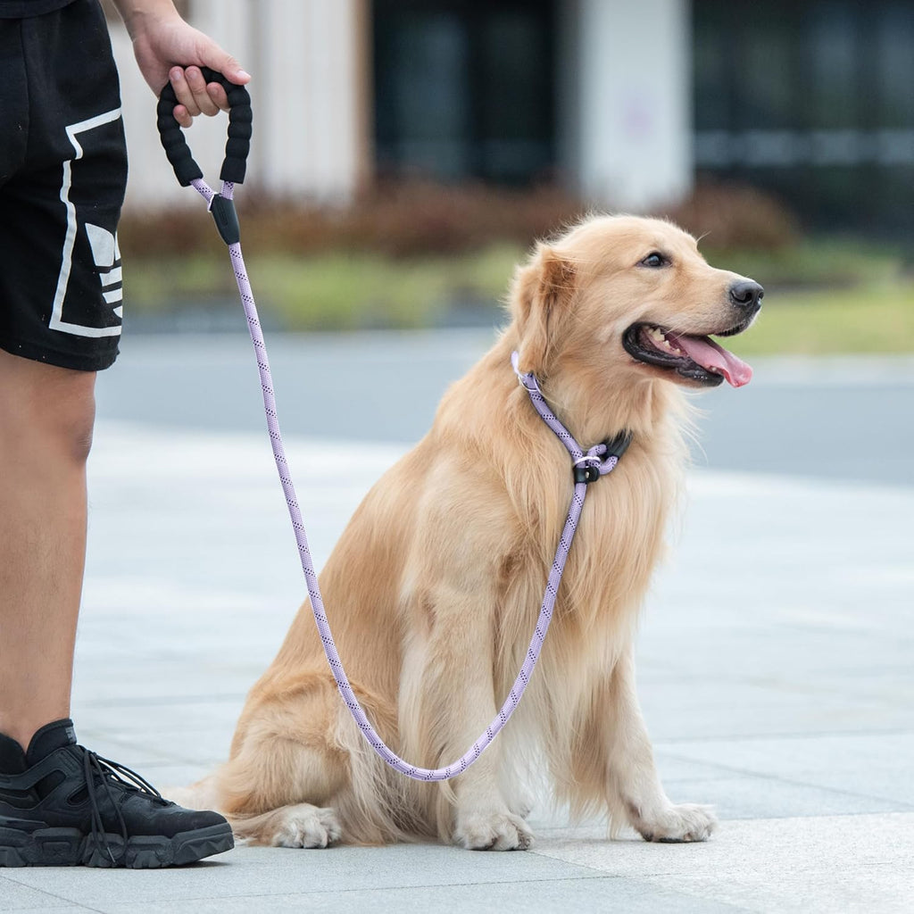 Durable Slip Lead Dog Leash with Padded Handle and Highly Reflective Threads, No Pull Dog Training Leash, (1/2" X 6 FT, Lavender)