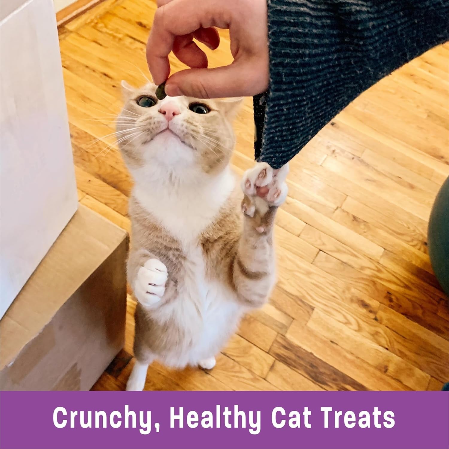 Treat your furry friend to  Kittles: Crunchy, Grain-Free Chicken & Cranberry Cat Treats in a 2 oz bag! 🐱💖✨