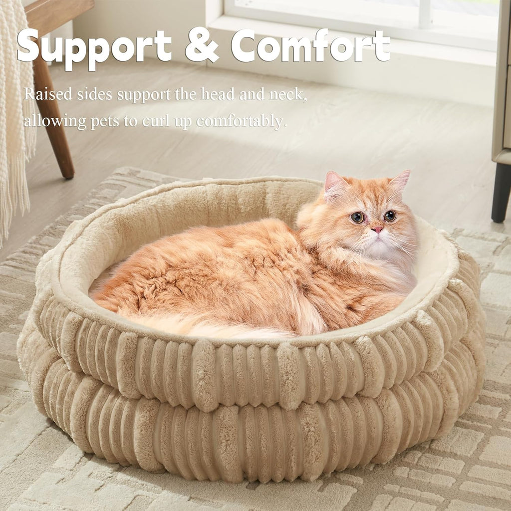 Cozy & Comfy Cat and Puppy Beds - Perfect for Indoor Pets! 🐾✨
