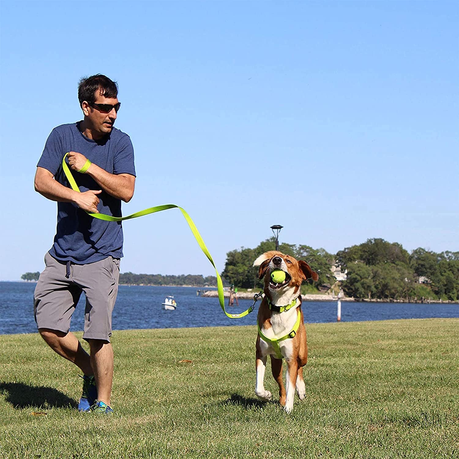 Get Your Pup Stylish & Safe with a Custom 6 Ft Green Dog Leash! 🐾💚 Perfect for Medium & Large Breeds! 🐕✨