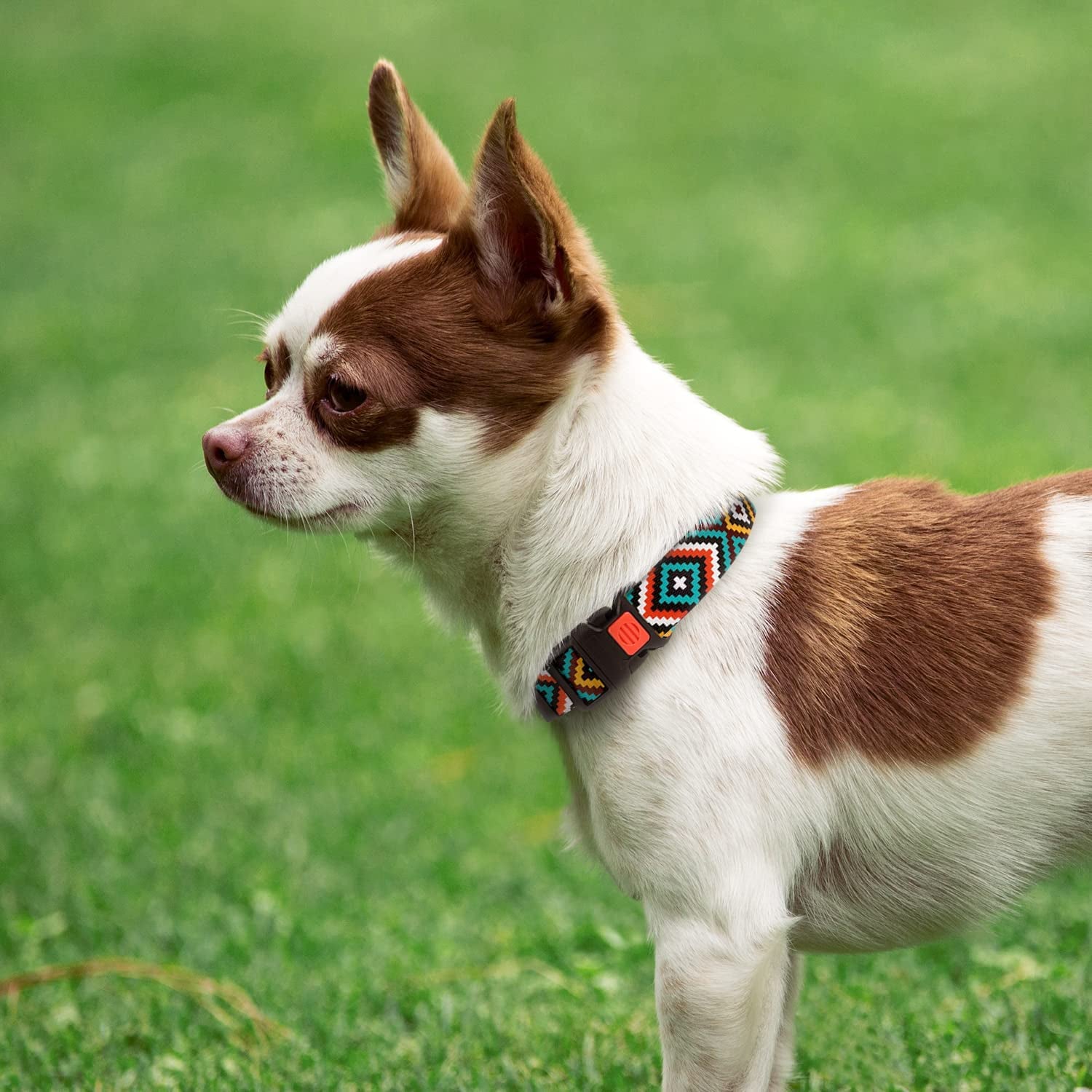 Stylish Aztec Teal Nylon Dog Collar for Small Breeds (10-13 Inch) 🐾✨
