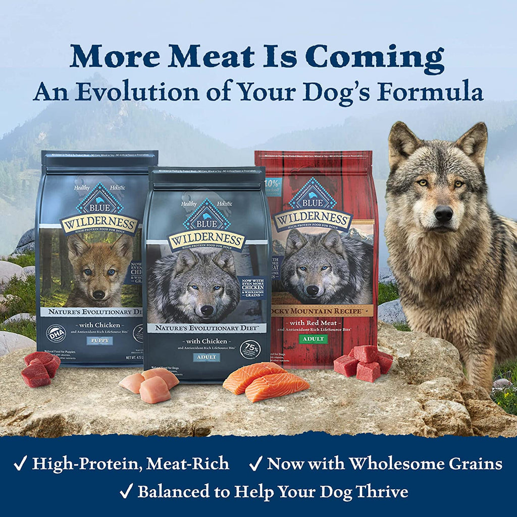 Unleash your dog's wild side with  Wilderness High Protein Dry Dog Food with Wholesome Grains! 🐶🍗 24-Lbs of pure deliciousness! #BlueBuffalo #DogFood #HealthyPup