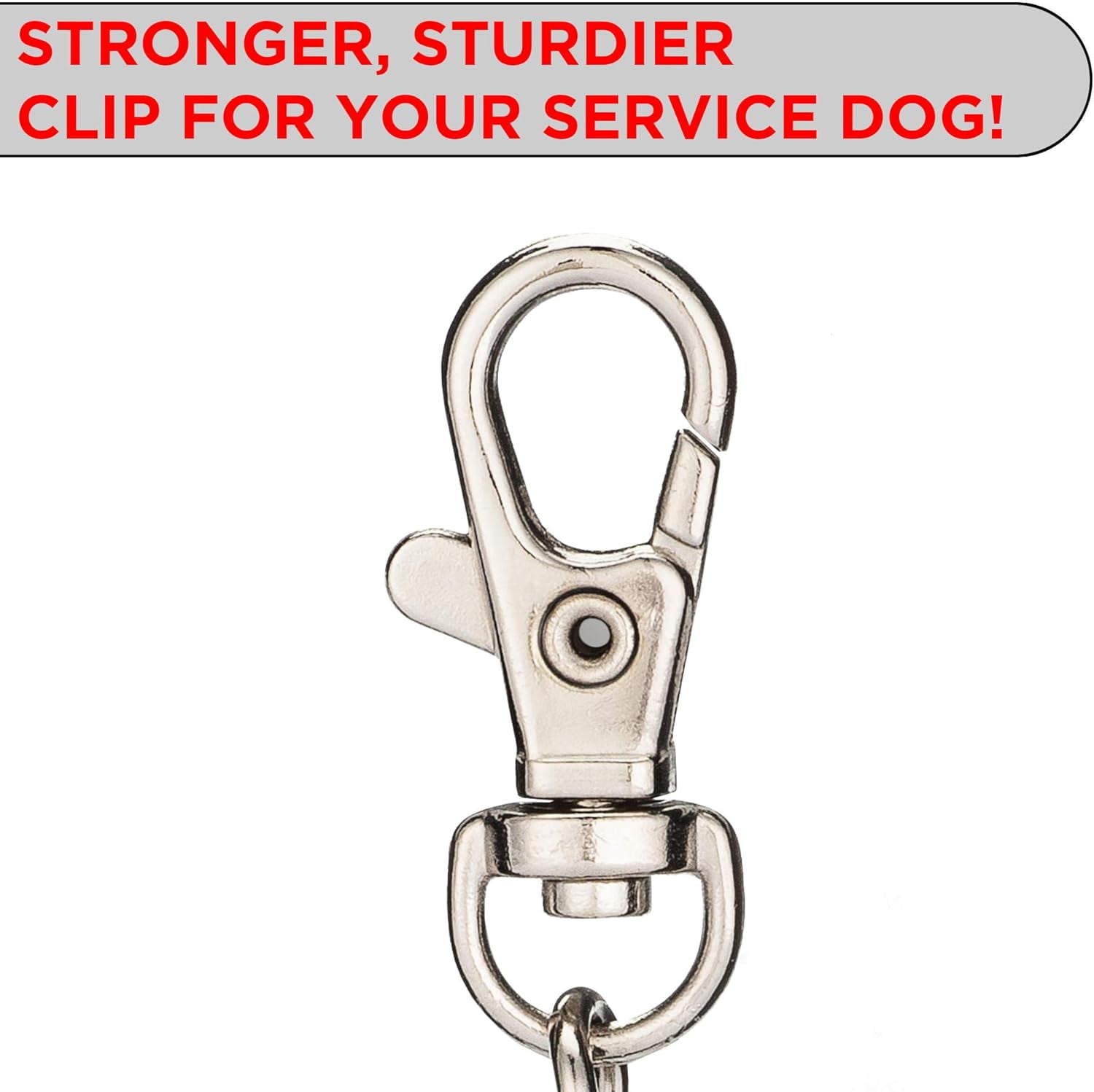 Double-Sided Service Dog Tags: Stylish Metal ID Tags for Your Support Animals! 🔴🐾