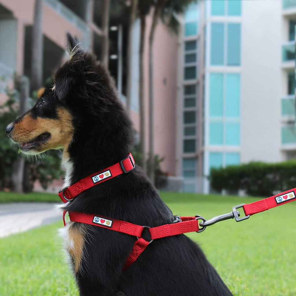 Get Your Pup Stylish & Safe with a Custom 6 Ft Green Dog Leash! 🐾💚 Perfect for Medium & Large Breeds! 🐕✨