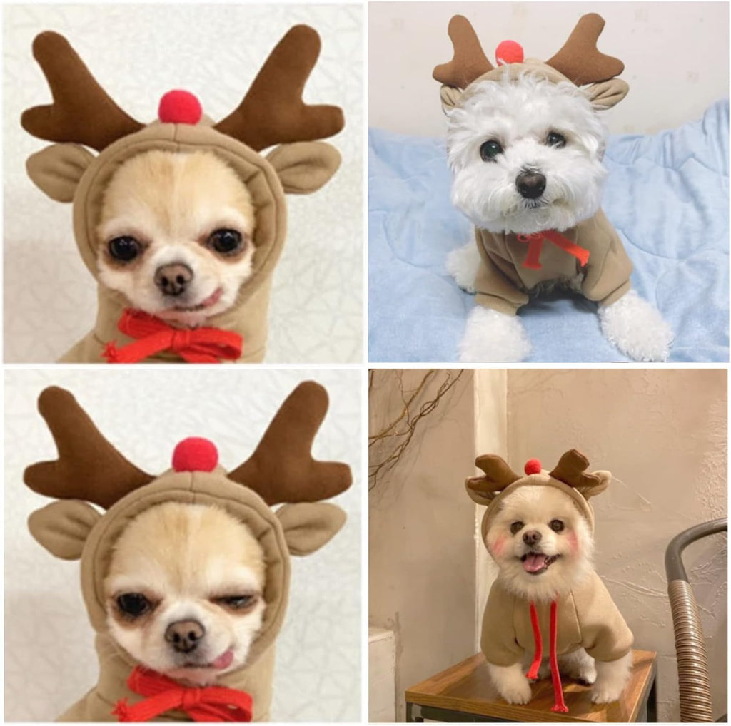 Stay cozy and stylish this winter with our adorable Elk Fruit Hoodie for your furry friends! Perfect for small dogs and cats! 🐾❄️ #PetFashion #DogHoodie #WinterWear