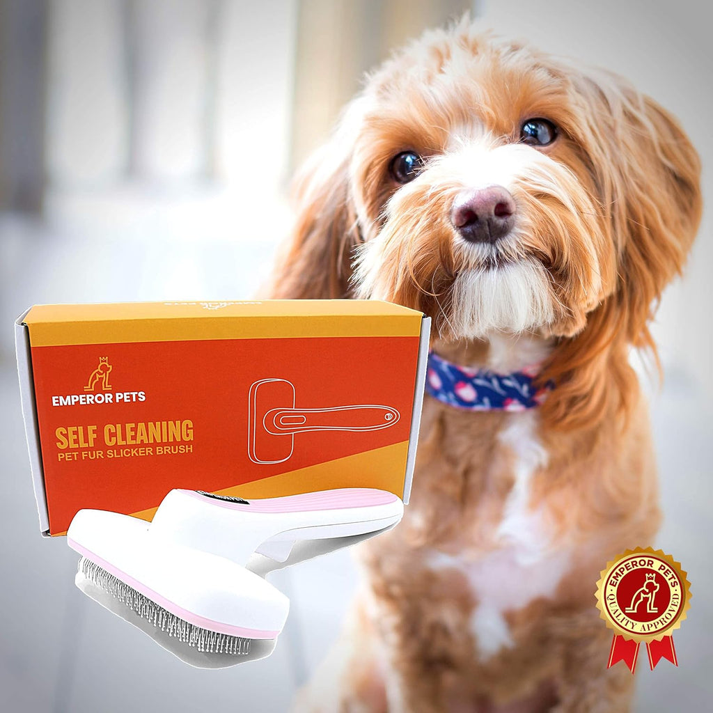 Say goodbye to shedding! 🐾 Get your hands on the  Dog Brush - the pink must-have for long-haired pups! 🌟 Gently smooth out tangles and keep your furry friend looking fabulous! 💖 #DogCare #SheddingSolutions #HappyPup