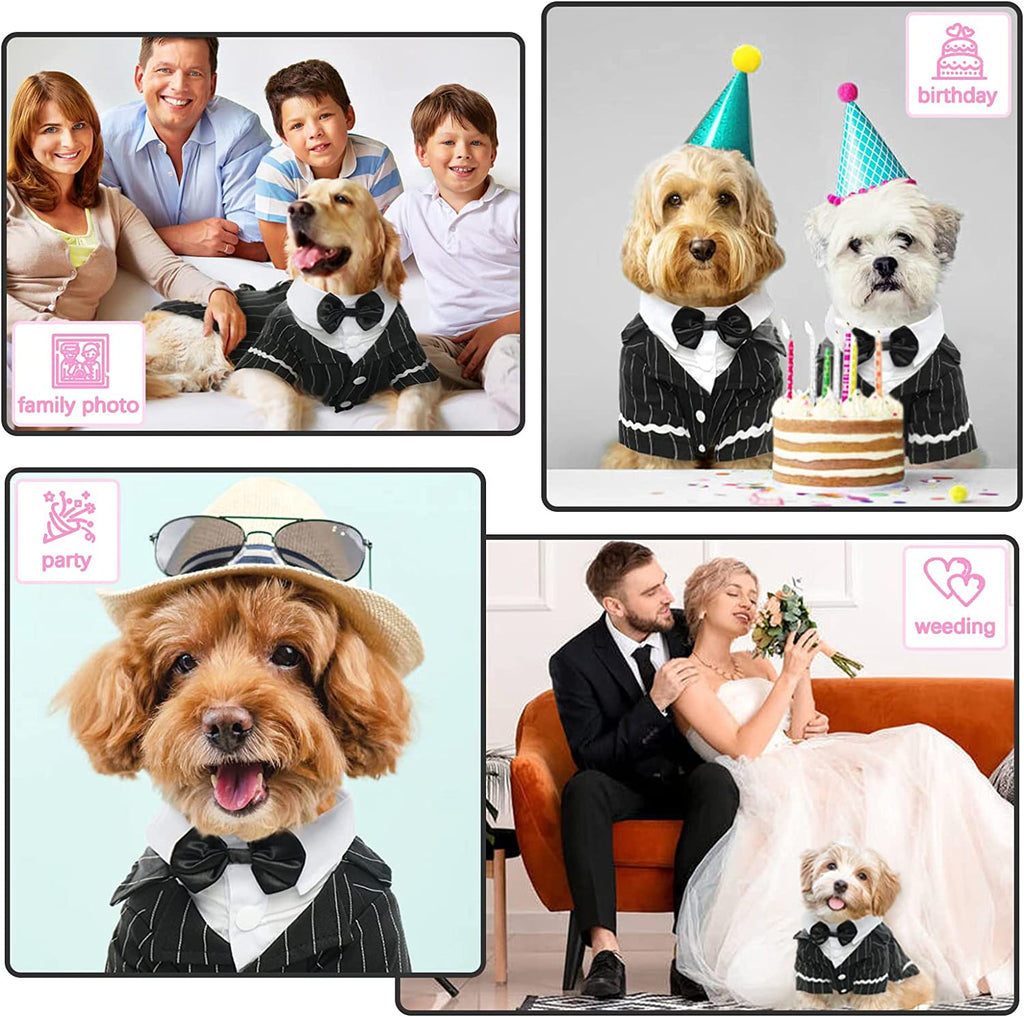 Dress your pup to impress with the  Dog Black Suit Costume! 🎩 Perfect for Halloween, weddings, or any formal occasion. Ideal for small to large dogs and even your cat! 🐾✨