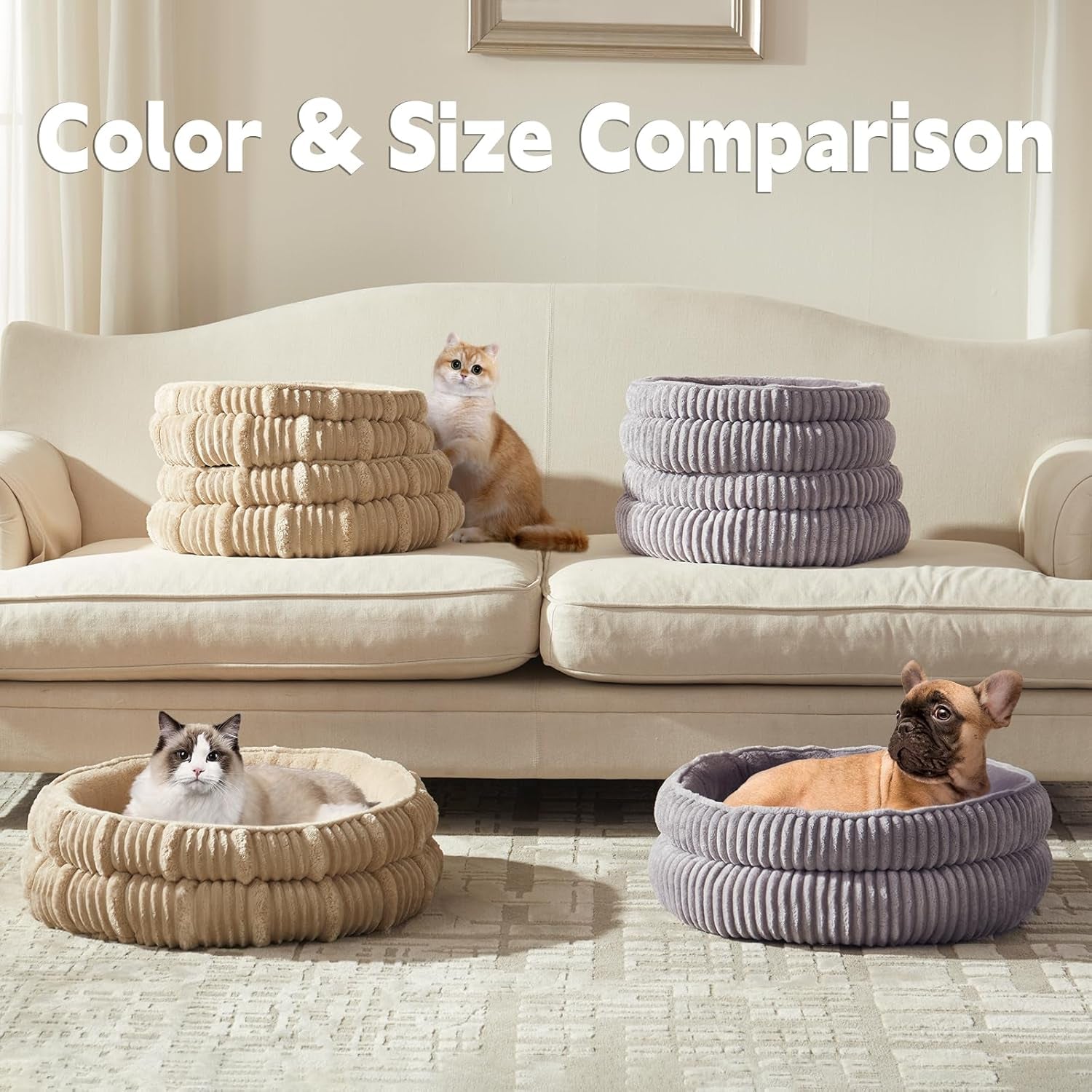 Cozy & Comfy Cat and Puppy Beds - Perfect for Indoor Pets! 🐾✨